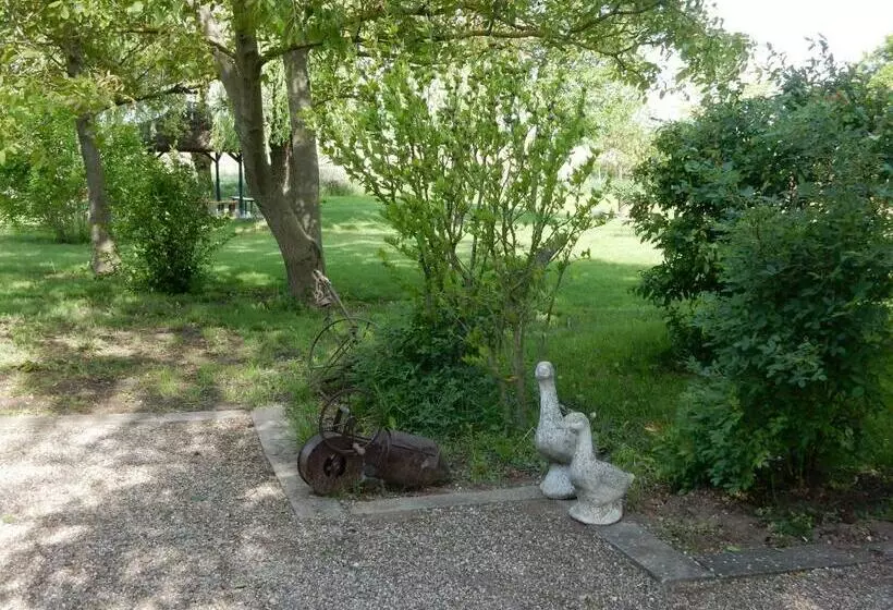 Bed and Breakfast Herberg Tisza