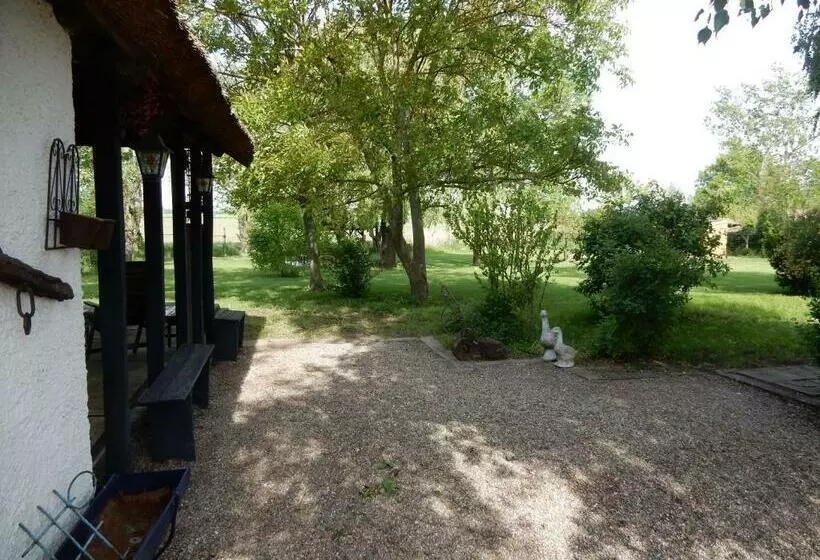 Bed and Breakfast Herberg Tisza