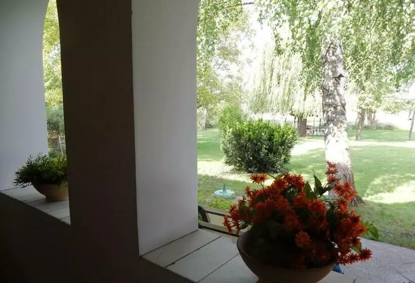 Bed and Breakfast Herberg Tisza