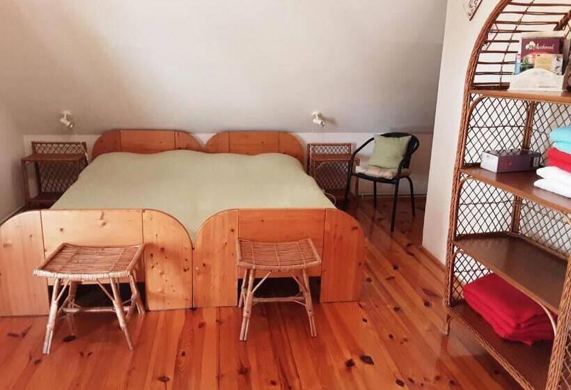 Bed and Breakfast Herberg Tisza