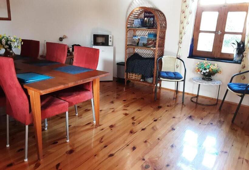 Bed and Breakfast Herberg Tisza