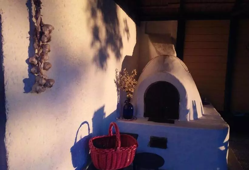 Bed and Breakfast Herberg Tisza