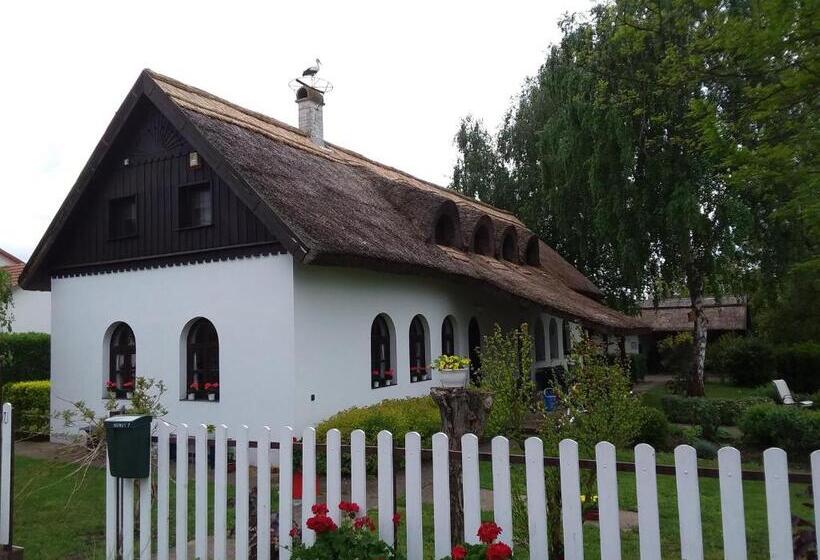 Bed and Breakfast Herberg Tisza