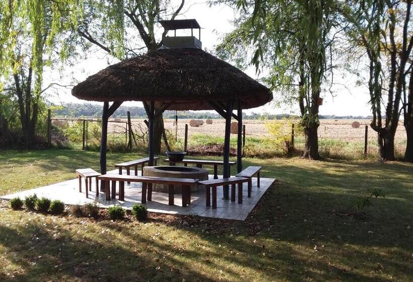 Bed and Breakfast Herberg Tisza