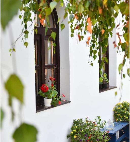 Bed and Breakfast Herberg Tisza