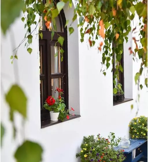 Bed and Breakfast Herberg Tisza