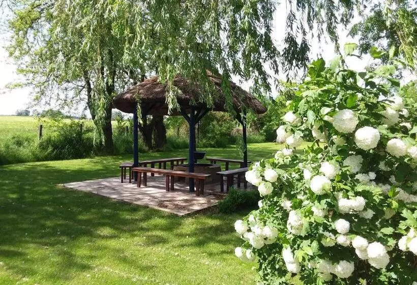 Bed and Breakfast Herberg Tisza