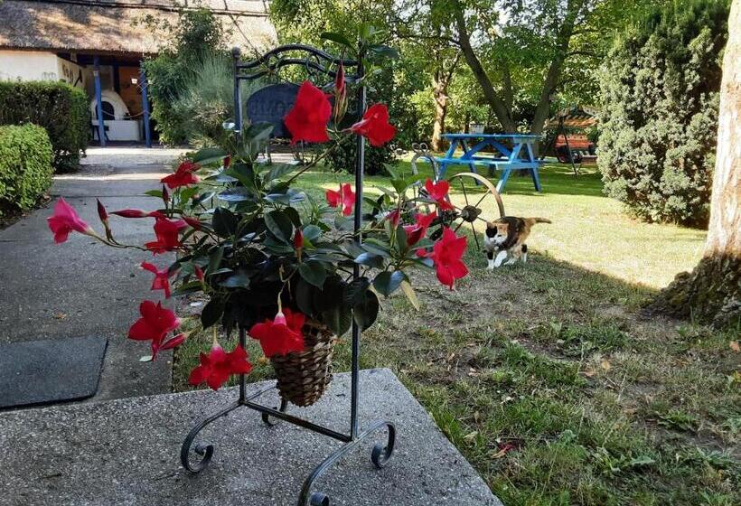 Bed and Breakfast Herberg Tisza