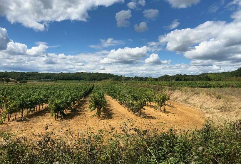 Bed and Breakfast La Maison Blanche Uzès