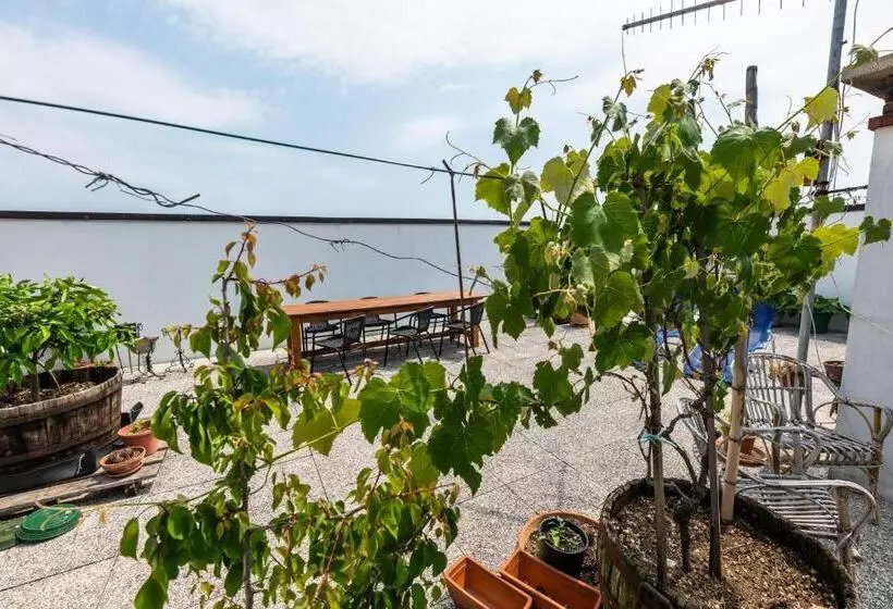 تختخواب و صبحانه The Liberty Terrace