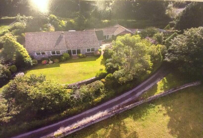 Bed and Breakfast The Willows