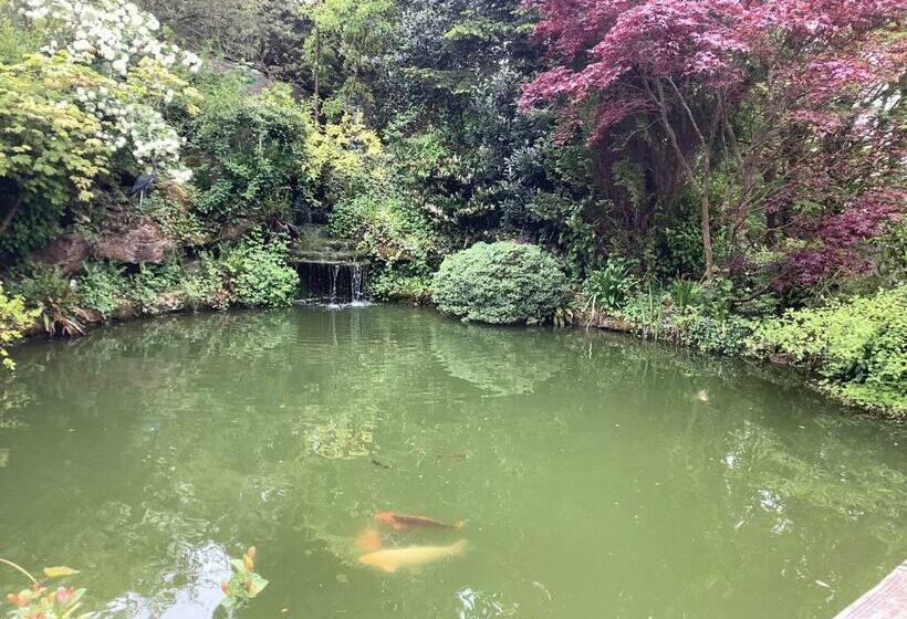 Bed and Breakfast The Willows