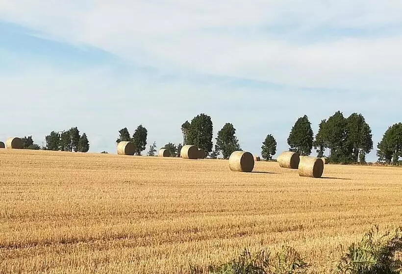Aamiaismajoitus (B&B) Ti Gwennel