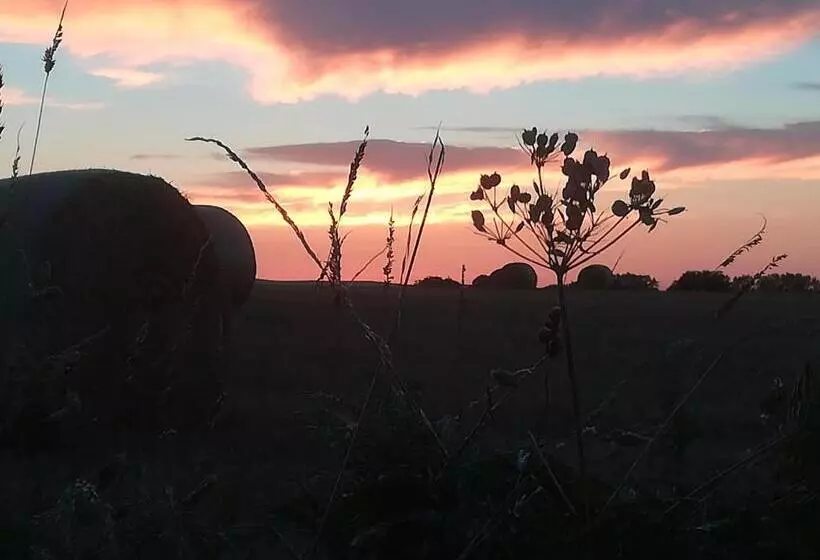 Aamiaismajoitus (B&B) Ti Gwennel