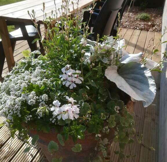 تختخواب و صبحانه Ti Gwennel