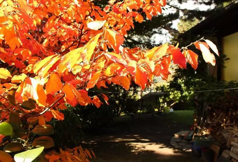 Home Suite Home Bed & Breakfast