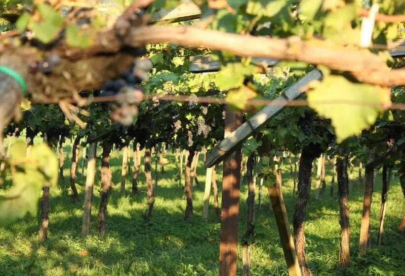 Home Suite Home Bed & Breakfast