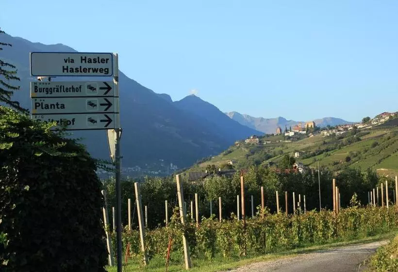 Home Suite Home Bed & Breakfast