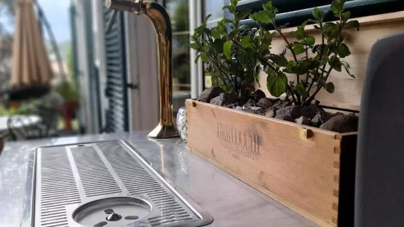 Home Suite Home Bed & Breakfast