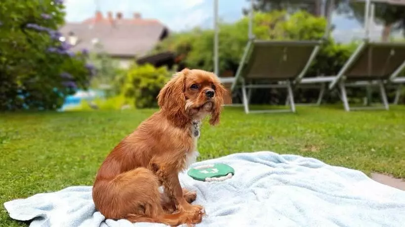 Home Suite Home Bed & Breakfast