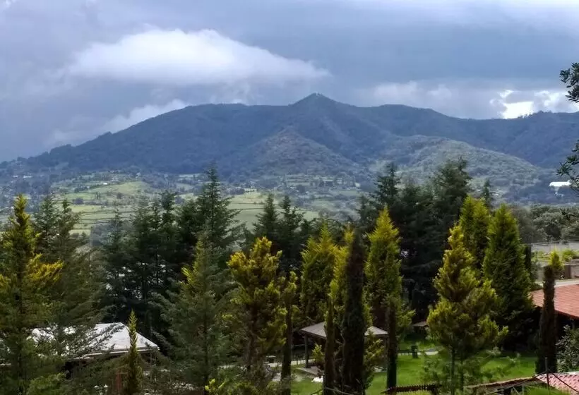 ホテル La Cabaña De Lola