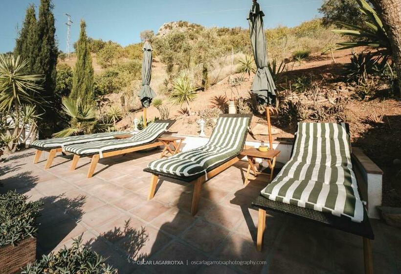 B&b Cortijo Loma León