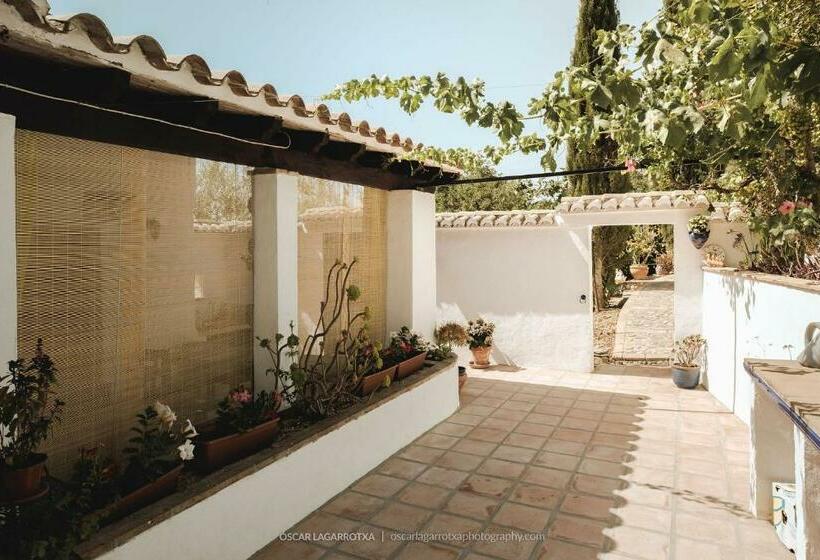 B&b Cortijo Loma León