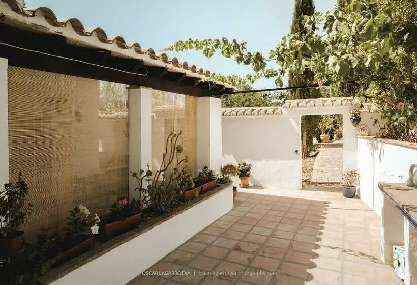 B&b Cortijo Loma León