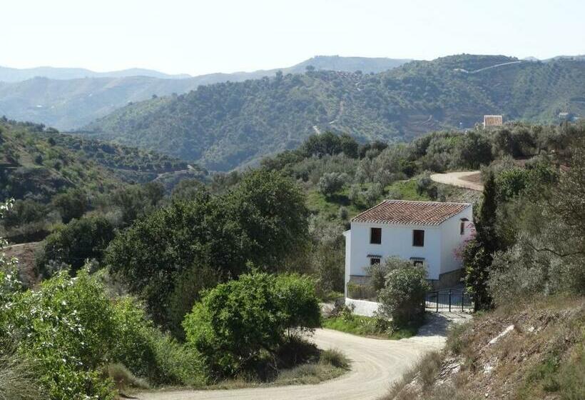 B&b Cortijo Loma León