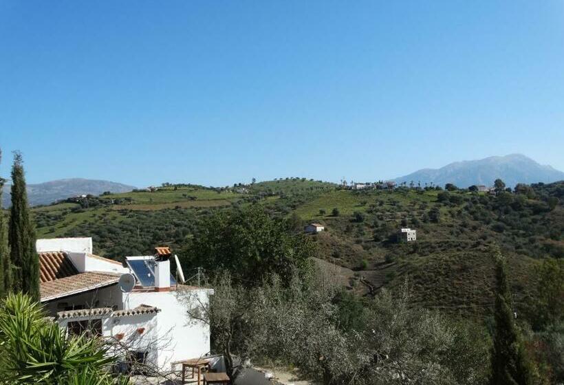 B&b Cortijo Loma León