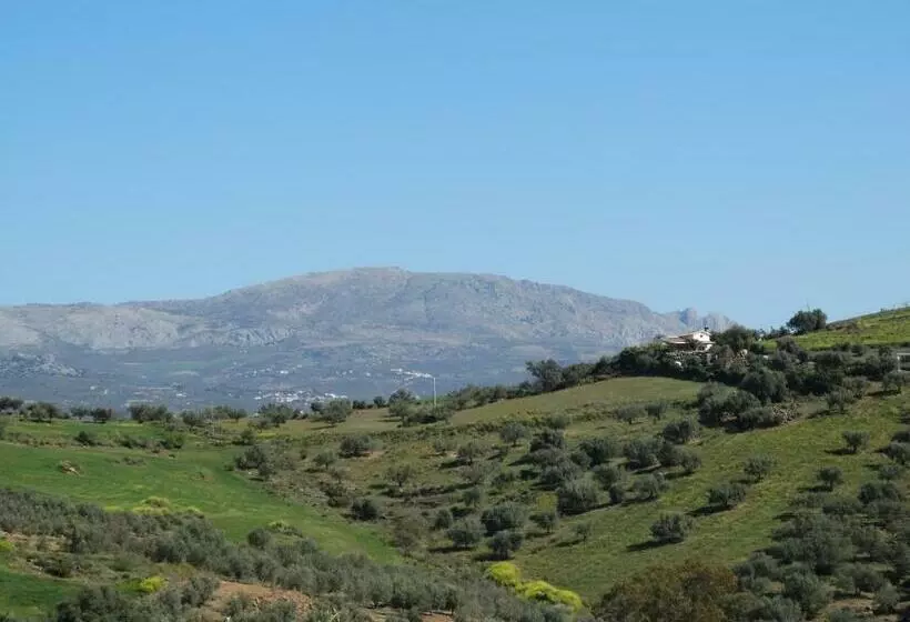 B&b Cortijo Loma León