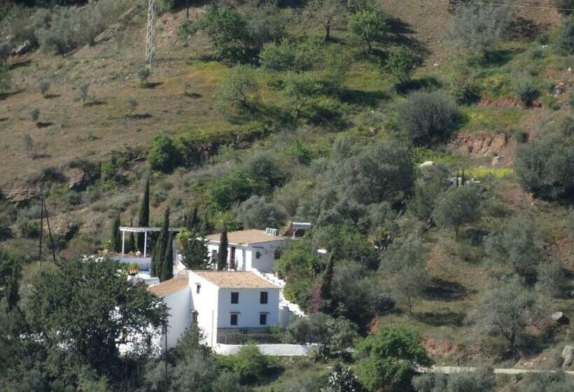 B&b Cortijo Loma León