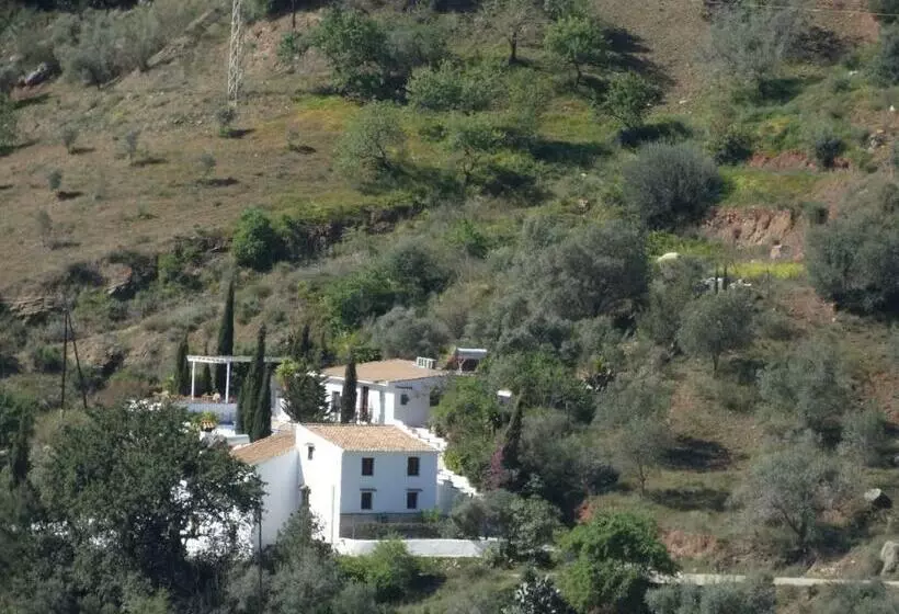 B&b Cortijo Loma León