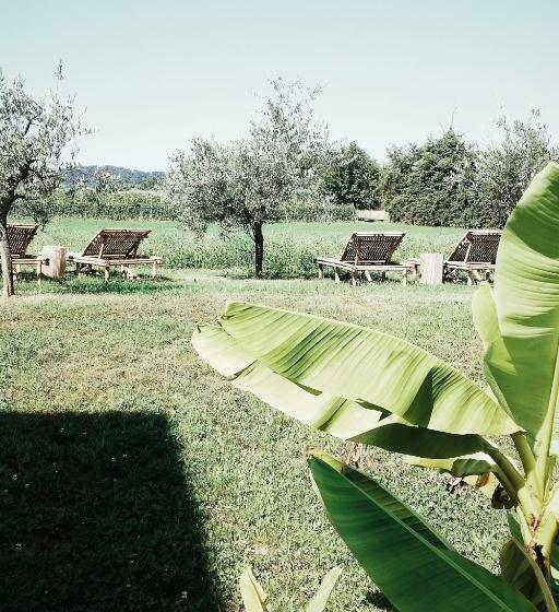 Bed & Breakfast Il Pajo