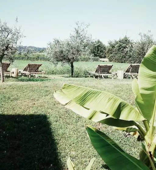 Bed & Breakfast Il Pajo