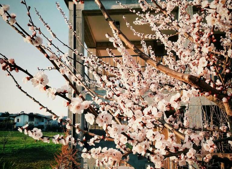 Bed & Breakfast Il Pajo