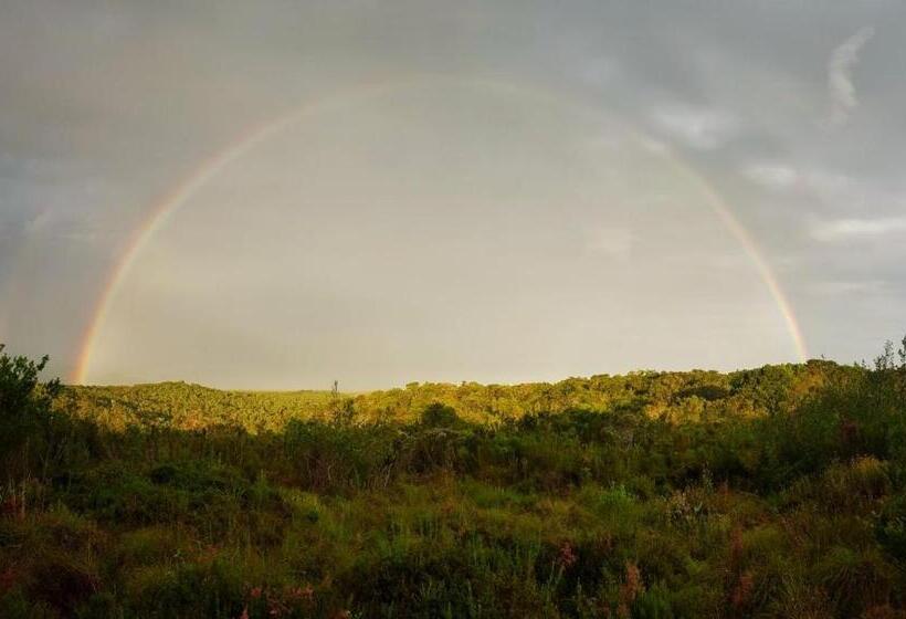בית מלון כפרי Laughing Waters Farm