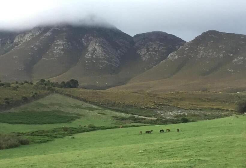 בית מלון כפרי Laughing Waters Farm