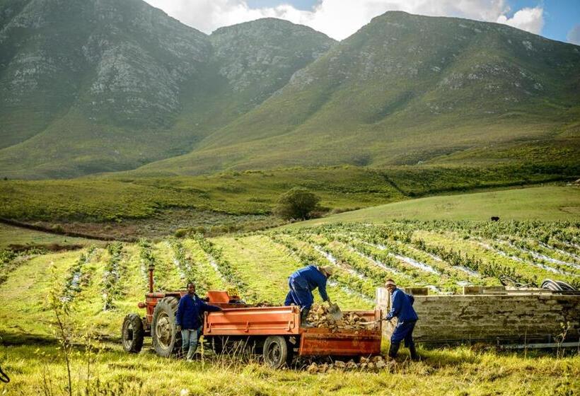 בית מלון כפרי Laughing Waters Farm
