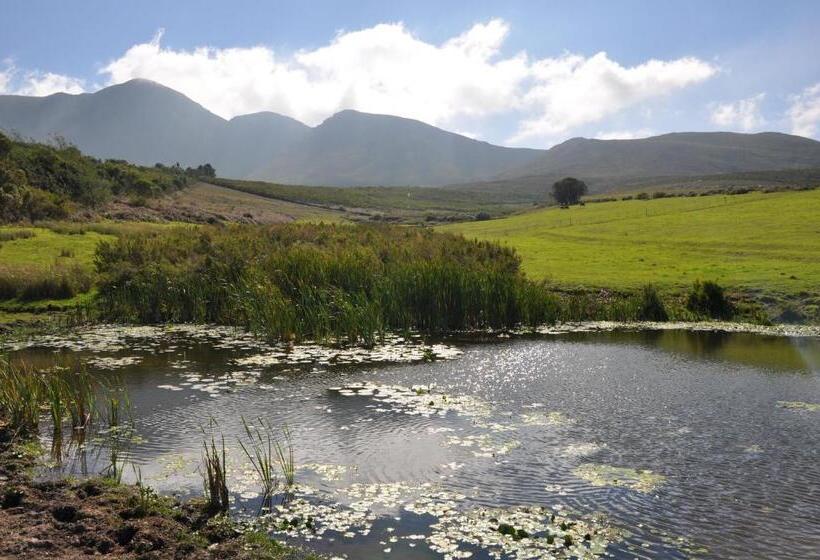 בית מלון כפרי Laughing Waters Farm