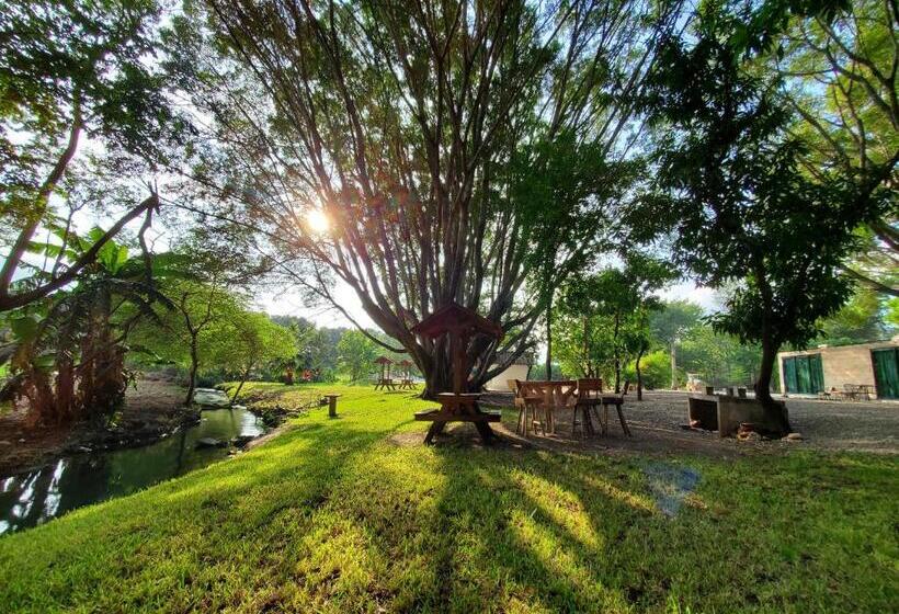 فندق Los Laureles