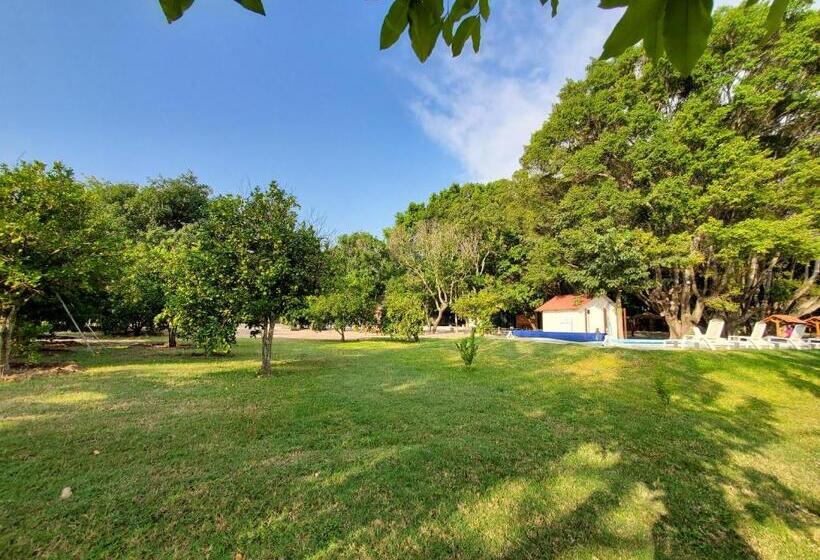 فندق Los Laureles