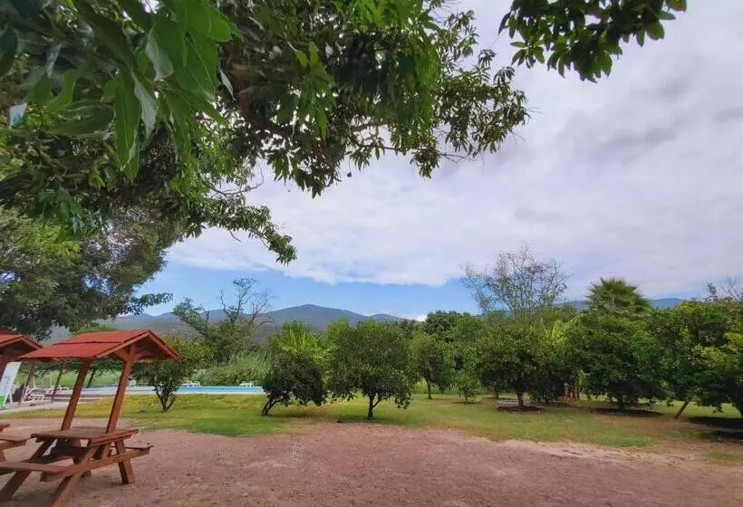 ホテル Los Laureles