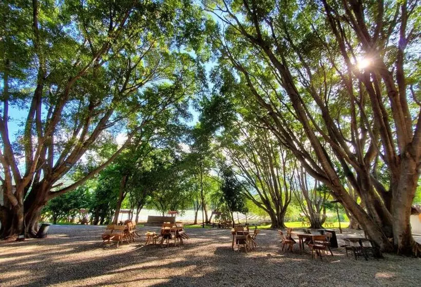 ホテル Los Laureles
