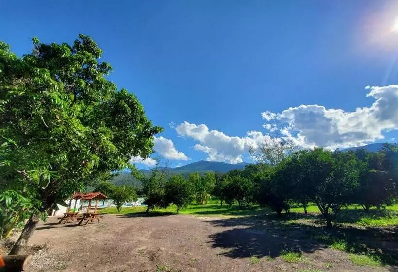 ホテル Los Laureles