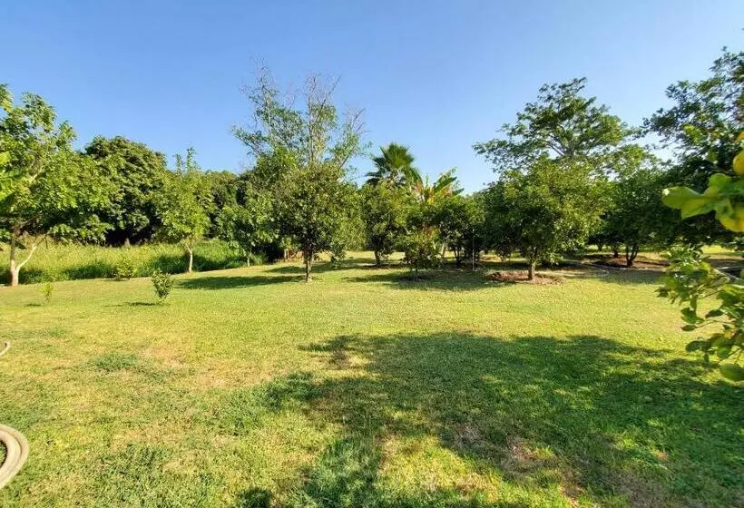 ホテル Los Laureles
