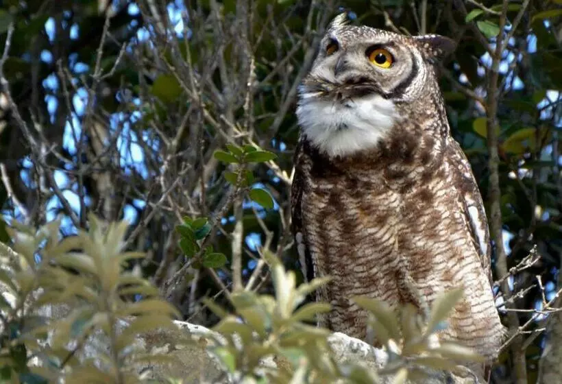 Majatalo Bayview Mountain Seafacing Cottages