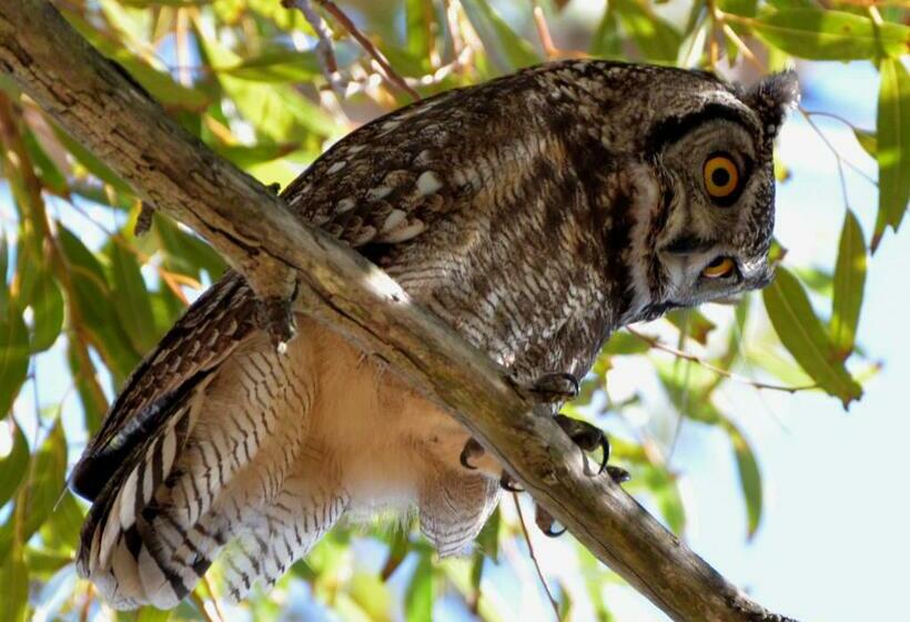 بنسيون Bayview Mountain Seafacing Cottages