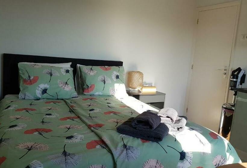 بنسيون Sunnyzandvoort