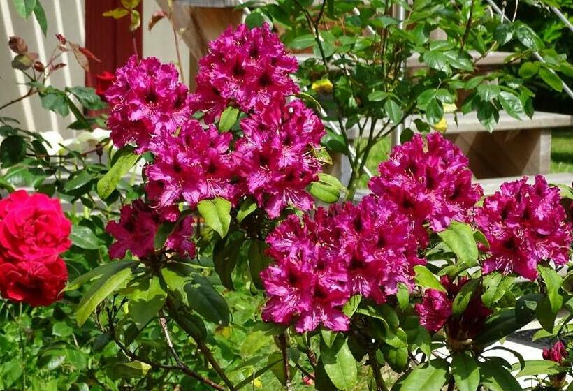 ベッドアンドブレックファースト Chambres De Monthéard